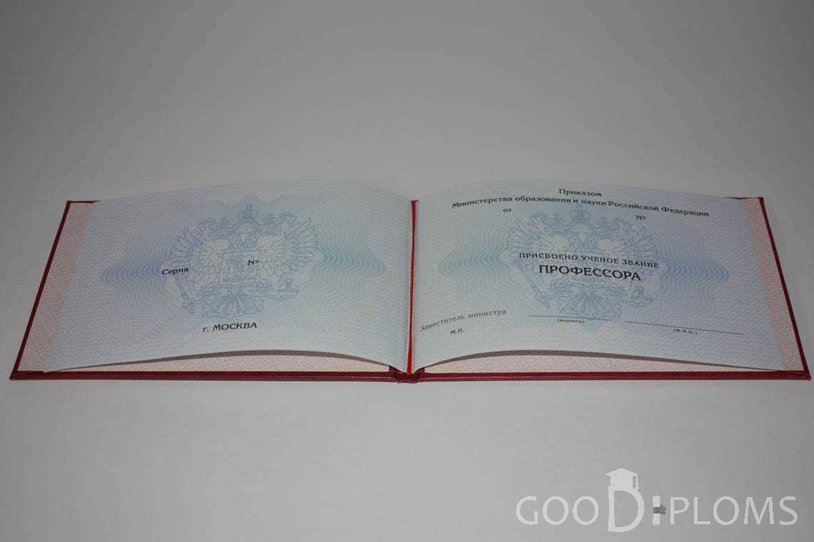Аттестат Профессора период выдачи 2015-2020 -  Ижевск