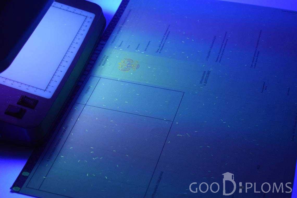 Приложение к Диплому Бакалавра с Отличием в Ультрафиолете период c 2013 по 2025 год - Ижевск