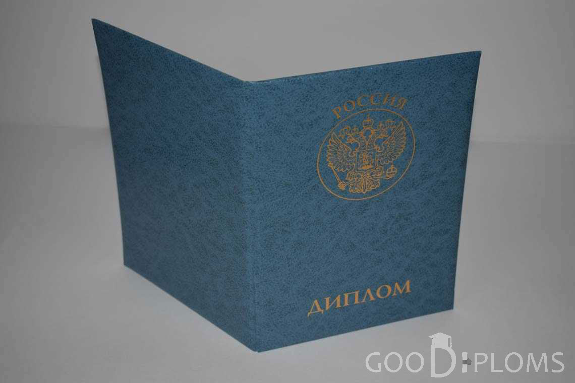 Диплом МВА - Обратная Сторона период выдачи 2011-2020 -  Ижевск