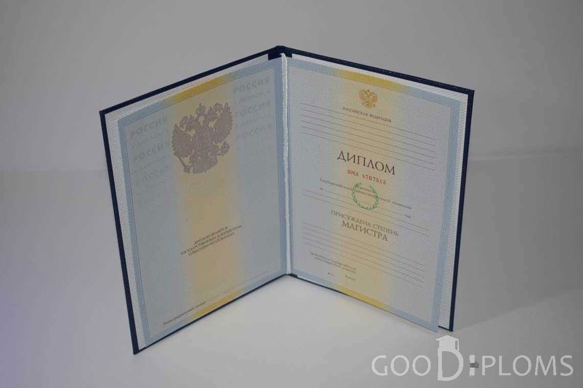 Диплом Магистра в период c 2009 по 2010 год - Ижевск