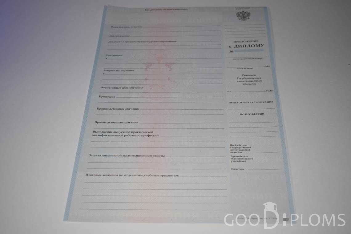 Приложение к Диплому Училища период выдачи 2007-2010  -  Ижевск