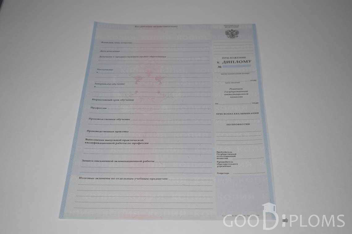 Приложение к Диплому Техникума с Отличием в период c 2008 по 2010 год - Ижевск
