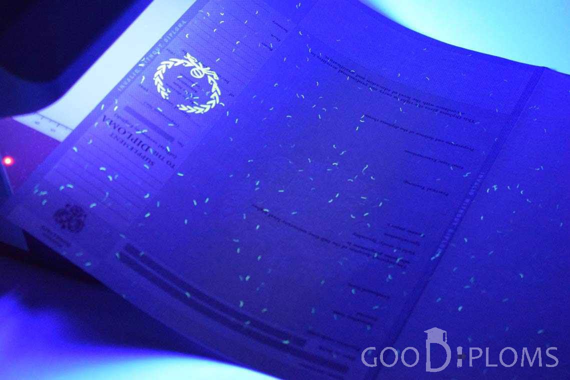 Приложение к Диплому Для Иностранных Граждан в Ультрафиолете - Ижевск