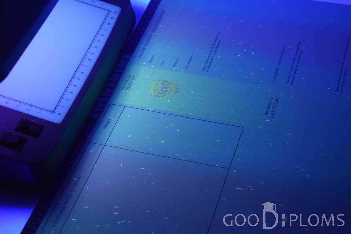 Приложение к Диплому о Высшем Образовании с Отличием в Ультрафиолете - Ижевск